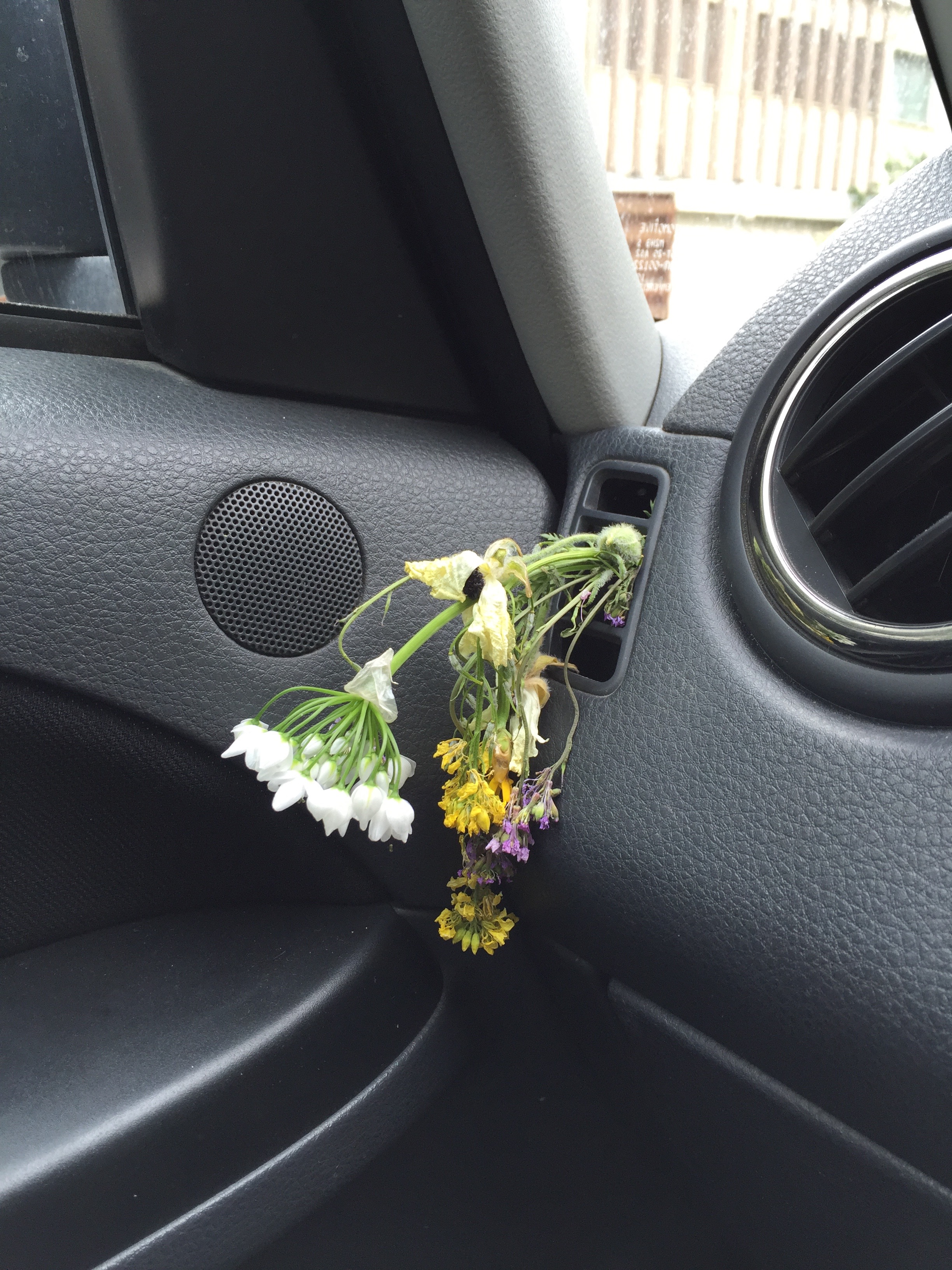 Flowers from Theseas